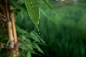 Dukuh Sebatu Resort & Villa