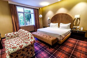 Hotel Piccadily Raipur