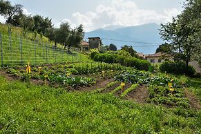 Agriturismo Il Colle