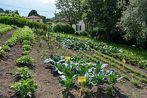 Agriturismo Il Colle