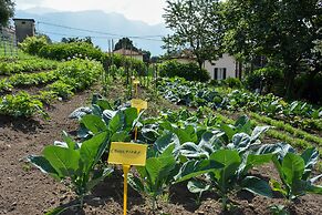 Agriturismo Il Colle