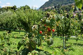Agriturismo Il Colle