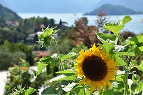 Agriturismo Il Colle