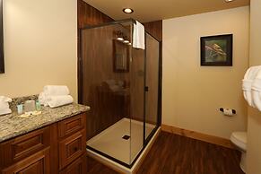 Dive Right In - Four Bedroom Chalet