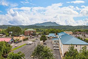 Mountain View Condo 1205 - Two Bedroom Condo