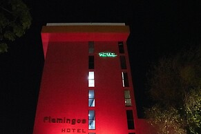 Hotel Flamingos