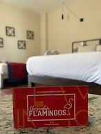 Hotel Flamingos