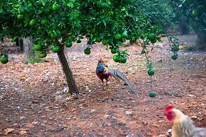 Hotel Agroturismo Can Bessol