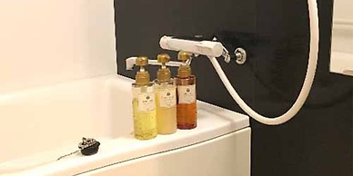 Dogo-no-Oyado Iwasaki