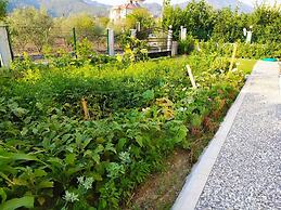 Kaya House Daily Flat