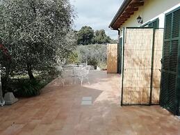 Agriturismo il Grande Ulivo