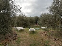 Agriturismo il Grande Ulivo