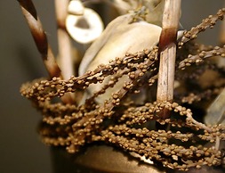 Residenza San Faustino