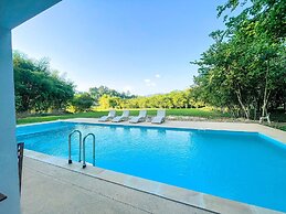 Bamboo Grove Chiang Mai