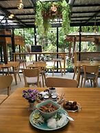 Bamboo Grove Chiang Mai