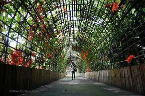 Bamboo Grove Chiang Mai