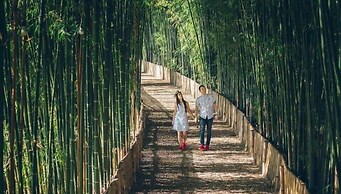 Bamboo Grove Chiang Mai