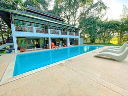 Bamboo Grove Chiang Mai