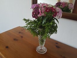 Georgia Old Town Apartments