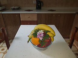 Georgia Old Town Apartments