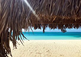 Aruba Stop Vacation Rentals