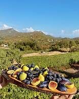 Apartmani Karučki krš