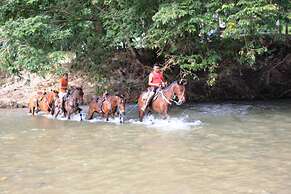 Cabañas Ecoturisticas y Club Gaira Tayrona