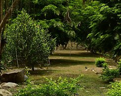 El Lago - Finca Agrituristica