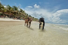 Mía Tulum Resort