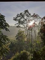 Ëlla Breeze Homestay