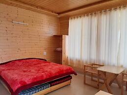 Snow View Luxury Homes