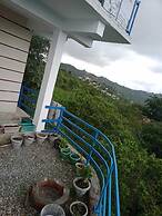 Snow View Luxury Homes