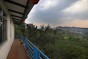 Snow View Luxury Homes