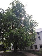 Landpension Haupt