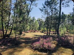 Au Clair Des Landes