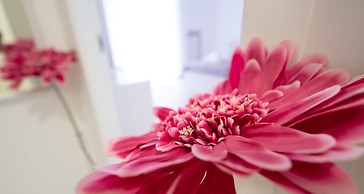 Casa Viviana - Bari Policlinico