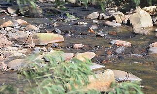 Rocky Drift Private Nature Reserve