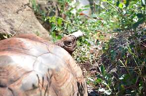 Rocky Drift Private Nature Reserve