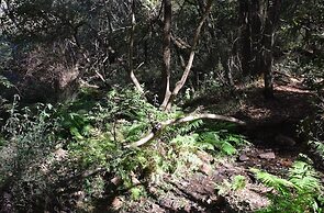 Rocky Drift Private Nature Reserve