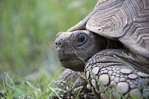 Rocky Drift Private Nature Reserve