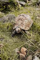 Rocky Drift Private Nature Reserve