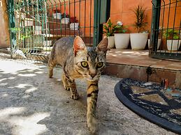 Nice & Cozy Apartments