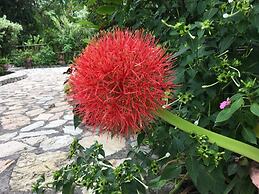 Hotel Hacienda San Lucas