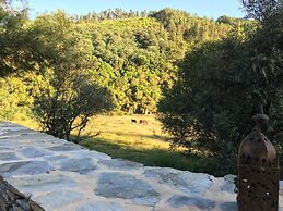 Quinta das Levadas Country House & Nature
