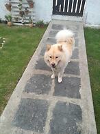 Casa Aconchegante Lazer e Descanso