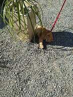 Casa Aconchegante Lazer e Descanso