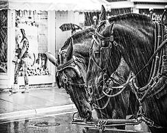 Secrets on Main Bed & Breakfast