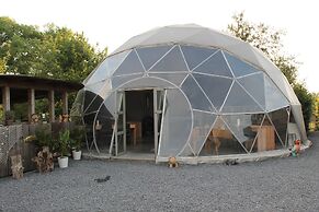 Ecochique