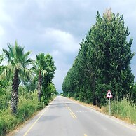 Rivaesta Butik Hotel - Adults Only