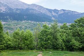 Arhontiko Christodoulou